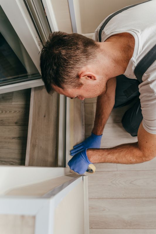 Professional Work in Action